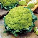 Broccoflower