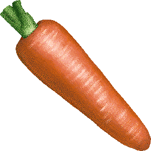 Carrot