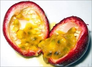 Passion Edible fruit 